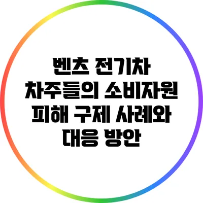 벤츠 전기차 차주들의 소비자원 피해 구제 사례와 대응 방안