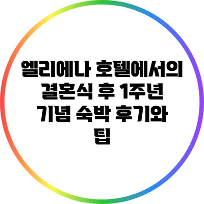 엘리에나 호텔에서의 결혼식 후 1주년 기념 숙박 후기와 팁
