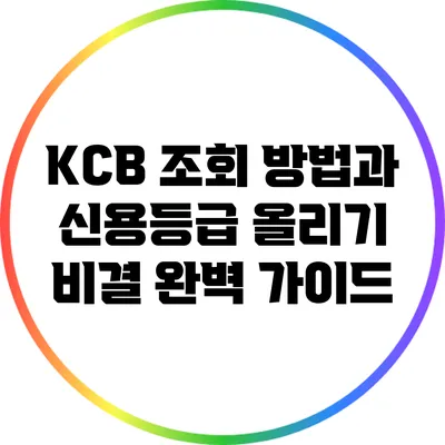 KCB 조회 방법과 신용등급 올리기 비결 완벽 가이드
