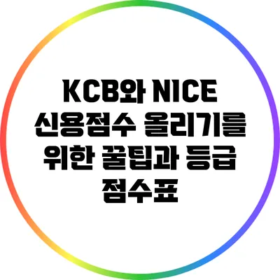 KCB와 NICE 신용점수 올리기를 위한 꿀팁과 등급 점수표