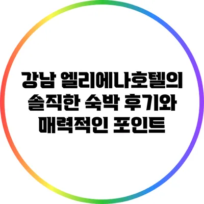 강남 엘리에나호텔의 솔직한 숙박 후기와 매력적인 포인트