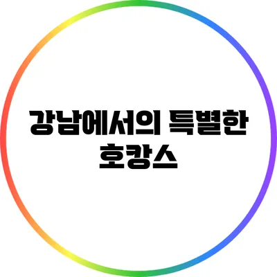 강남에서의 특별한 호캉스