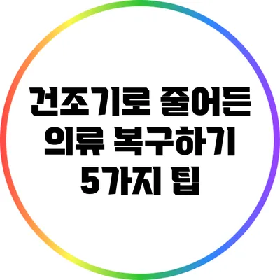 건조기로 줄어든 의류 복구하기: 5가지 팁