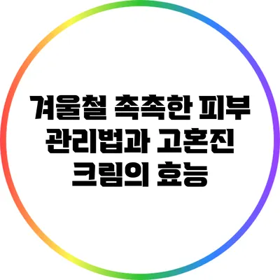 겨울철 촉촉한 피부 관리법과 고혼진 크림의 효능