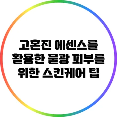 고혼진 에센스를 활용한 물광 피부를 위한 스킨케어 팁