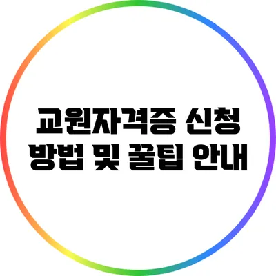 교원자격증 신청 방법 및 꿀팁 안내