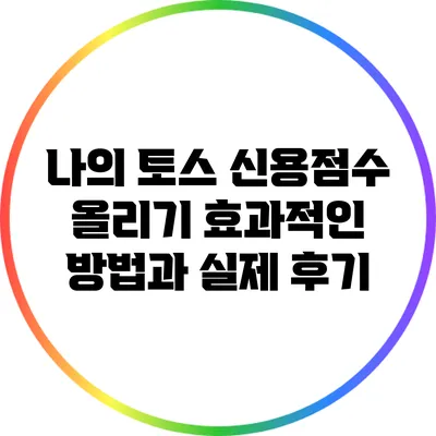 나의 토스 신용점수 올리기: 효과적인 방법과 실제 후기