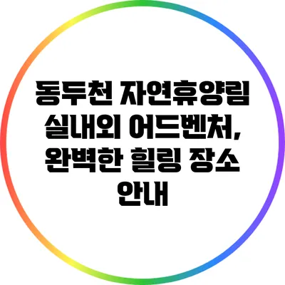동두천 자연휴양림 실내외 어드벤처, 완벽한 힐링 장소 안내