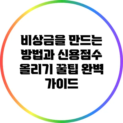 비상금을 만드는 방법과 신용점수 올리기 꿀팁 완벽 가이드