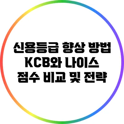 신용등급 향상 방법: KCB와 나이스 점수 비교 및 전략