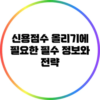 신용점수 올리기에 필요한 필수 정보와 전략