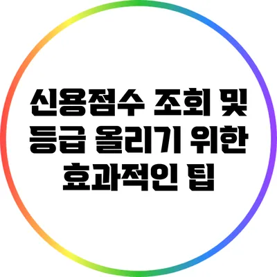 신용점수 조회 및 등급 올리기 위한 효과적인 팁