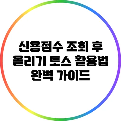 신용점수 조회 후 올리기: 토스 활용법 완벽 가이드