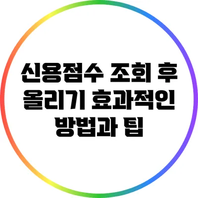 신용점수 조회 후 올리기: 효과적인 방법과 팁