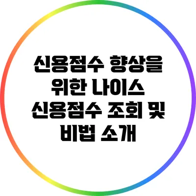 신용점수 향상을 위한 나이스 신용점수 조회 및 비법 소개
