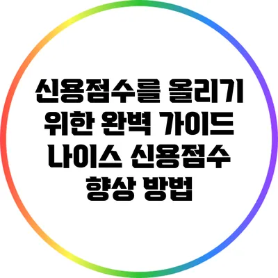 신용점수를 올리기 위한 완벽 가이드: 나이스 신용점수 향상 방법