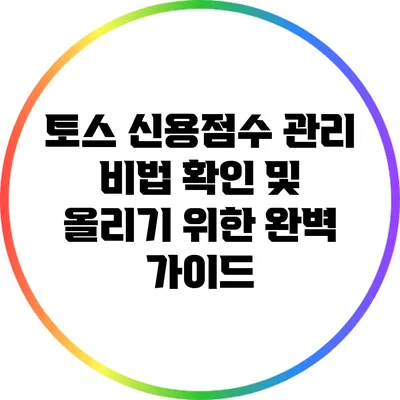 토스 신용점수 관리 비법: 확인 및 올리기 위한 완벽 가이드