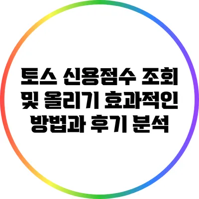 토스 신용점수 조회 및 올리기: 효과적인 방법과 후기 분석