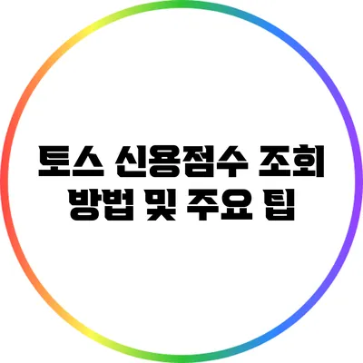 토스 신용점수 조회 방법 및 주요 팁