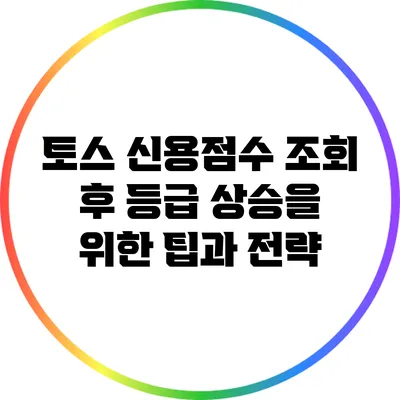 토스 신용점수 조회 후 등급 상승을 위한 팁과 전략