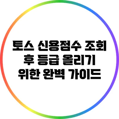 토스 신용점수 조회 후 등급 올리기 위한 완벽 가이드