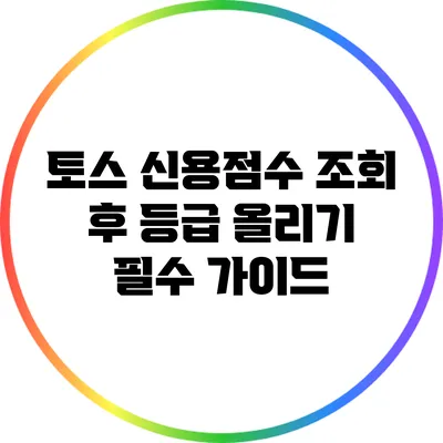 토스 신용점수 조회 후 등급 올리기: 필수 가이드