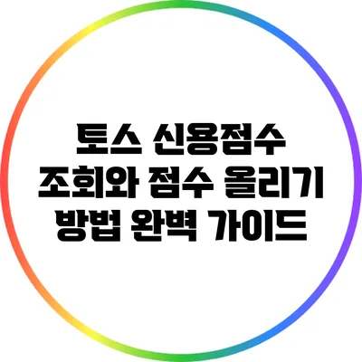 토스 신용점수 조회와 점수 올리기 방법 완벽 가이드