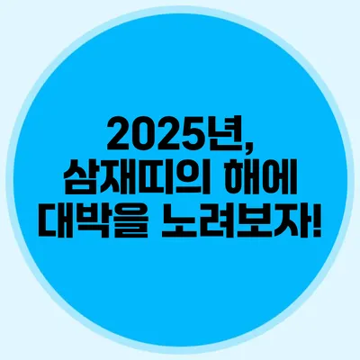2025년, 삼재띠의 해에 대박을 노려보자!