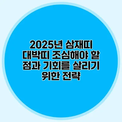 2025년 삼재띠 대박띠: 조심해야 할 점과 기회를 살리기 위한 전략