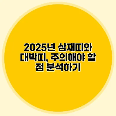 2025년 삼재띠와 대박띠, 주의해야 할 점 분석하기