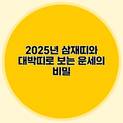 2025년 삼재띠와 대박띠로 보는 운세의 비밀