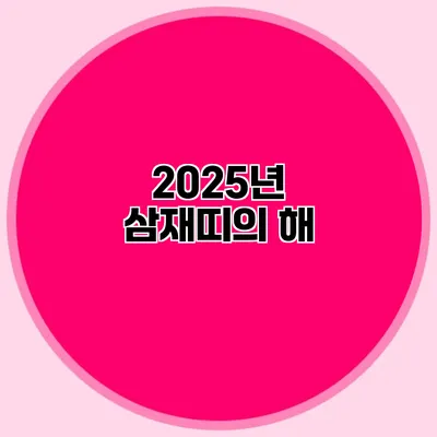 2025년 삼재띠의 해