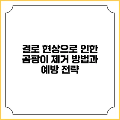결로 현상으로 인한 곰팡이 제거 방법과 예방 전략