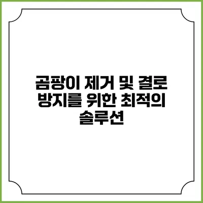 곰팡이 제거 및 결로 방지를 위한 최적의 솔루션