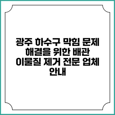 광주 하수구 막힘 문제 해결을 위한 배관 이물질 제거 전문 업체 안내