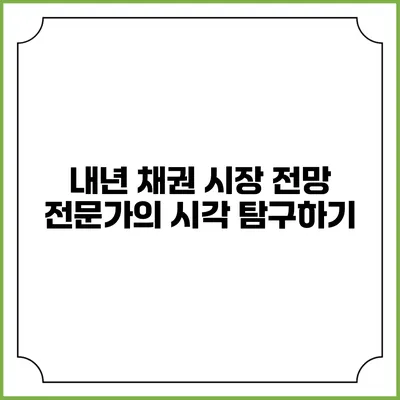 내년 채권 시장 전망: 전문가의 시각 탐구하기