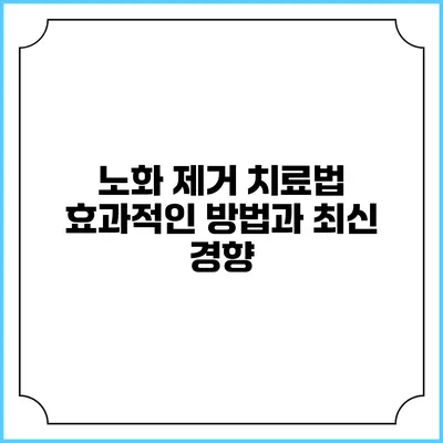 노화 제거 치료법: 효과적인 방법과 최신 경향