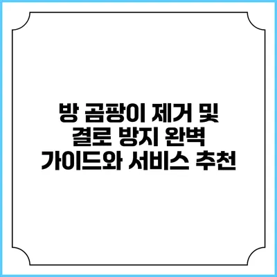 방 곰팡이 제거 및 결로 방지: 완벽 가이드와 서비스 추천