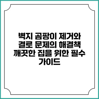 벽지 곰팡이 제거와 결로 문제의 해결책: 깨끗한 집을 위한 필수 가이드