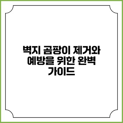 벽지 곰팡이 제거와 예방을 위한 완벽 가이드