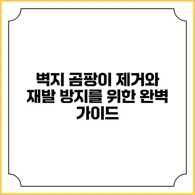 벽지 곰팡이 제거와 재발 방지를 위한 완벽 가이드