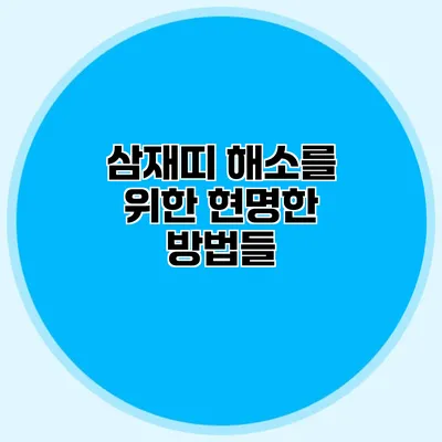 삼재띠 해소를 위한 현명한 방법들