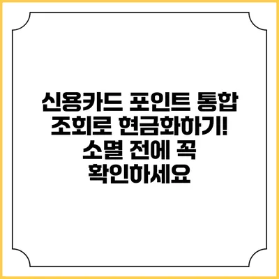 신용카드 포인트 통합 조회로 현금화하기! 소멸 전에 꼭 확인하세요