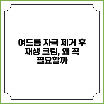 여드름 자국 제거 후 재생 크림, 왜 꼭 필요할까?