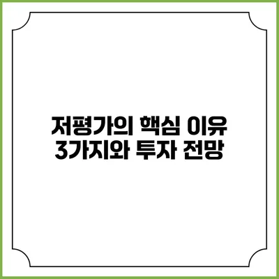 저평가의 핵심 이유 3가지와 투자 전망