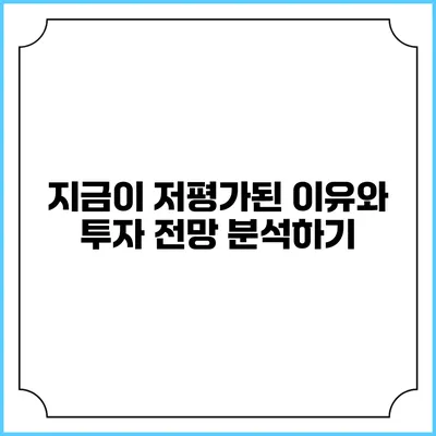 지금이 저평가된 이유와 투자 전망 분석하기
