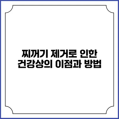 찌꺼기 제거로 인한 건강상의 이점과 방법