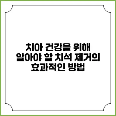 치아 건강을 위해 알아야 할 치석 제거의 효과적인 방법