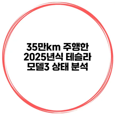 35만km 주행한 2025년식 테슬라 모델3 상태 분석