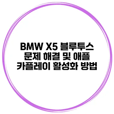 BMW X5 블루투스 문제 해결 및 애플 카플레이 활성화 방법